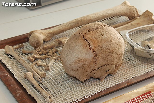 Yacimiento Argrico de La Bastida - 13