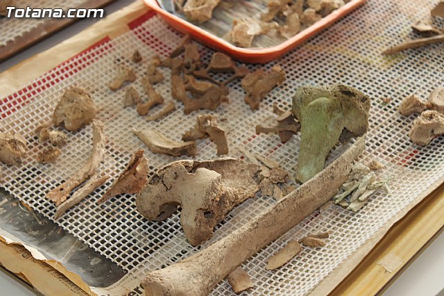 Yacimiento Argrico de La Bastida - 14