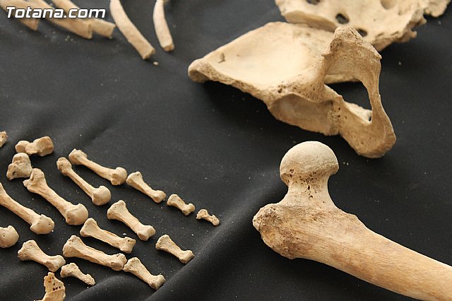 Yacimiento Argrico de La Bastida - 15