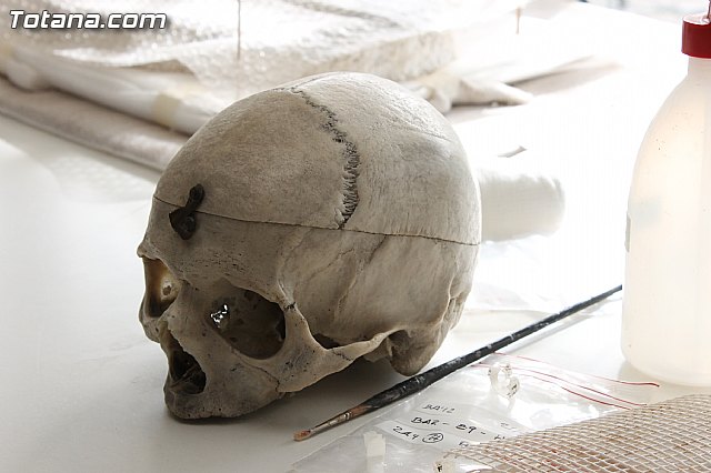 Yacimiento Argrico de La Bastida - 16