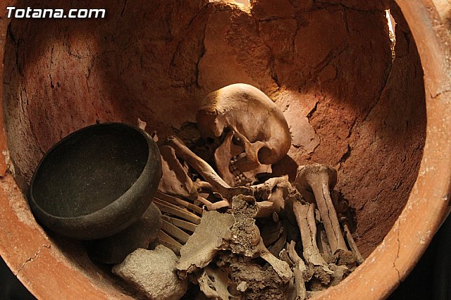 Yacimiento Argrico de La Bastida - 22