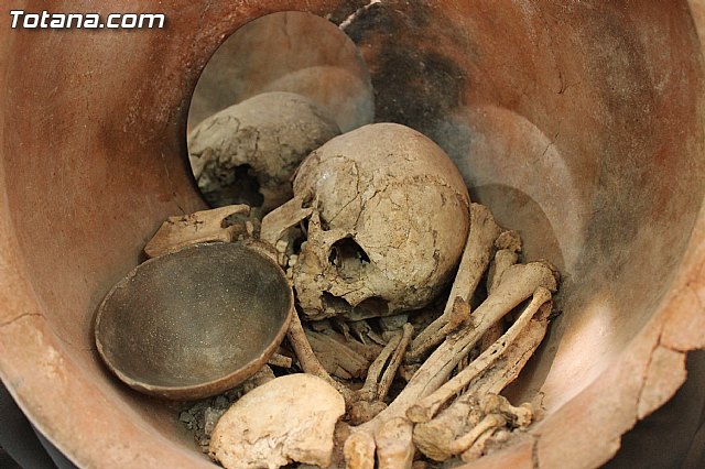 Yacimiento Argrico de La Bastida - 26