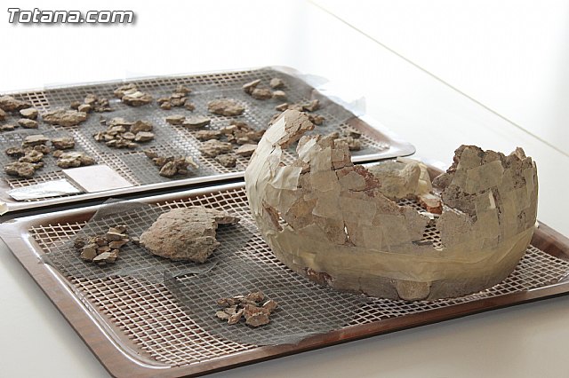 Yacimiento Argrico de La Bastida - 32