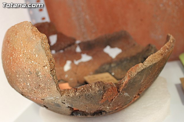 Yacimiento Argrico de La Bastida - 52