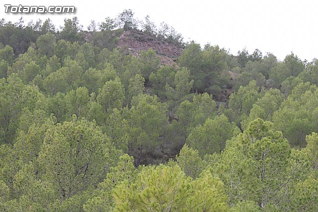 Yacimiento Argrico de La Bastida - 60