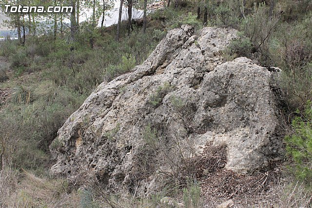 Yacimiento Argrico de La Bastida - 64