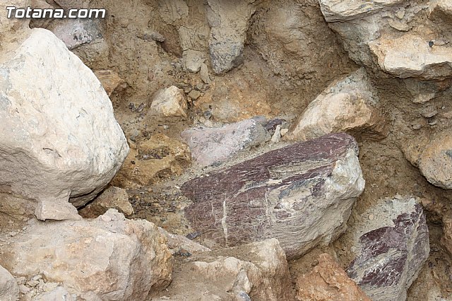 Yacimiento Argrico de La Bastida - 97