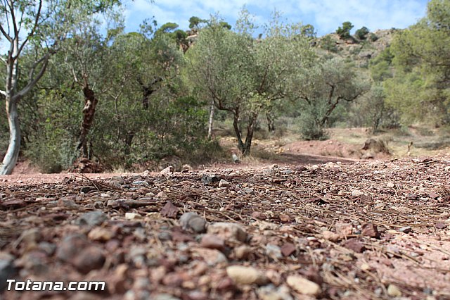 IX memorial MTB Domingo Pelegrn - Totana 2015 - 172