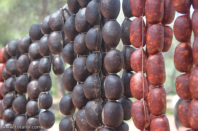 Jornada de convivencia Hermandad de Santa Mara Magdalena - 2015  - 83