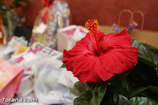 Comida-gala PADISITO 2015 - 6