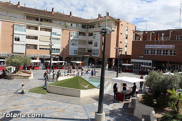 5 Plaza Solidaria - Totana 2015 - 1
