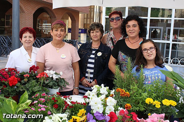 5 Plaza Solidaria - Totana 2015 - 69