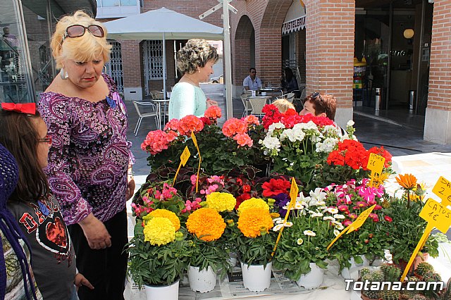 Segunda edicin de la 