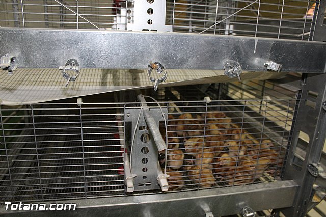 Sepor 2015 - Feria ganadera, industrial y agroalimentaria - 46