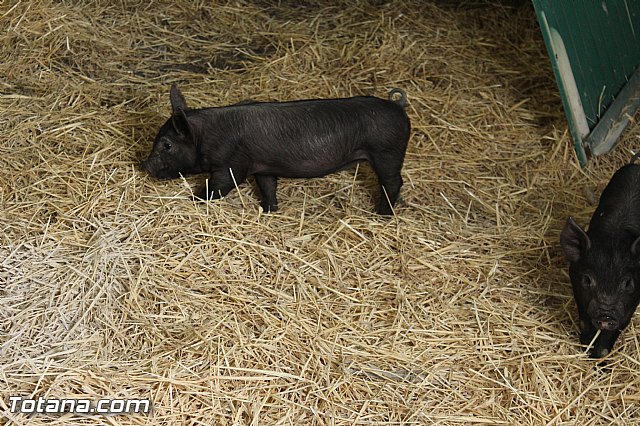 Sepor 2015 - Feria ganadera, industrial y agroalimentaria - 48