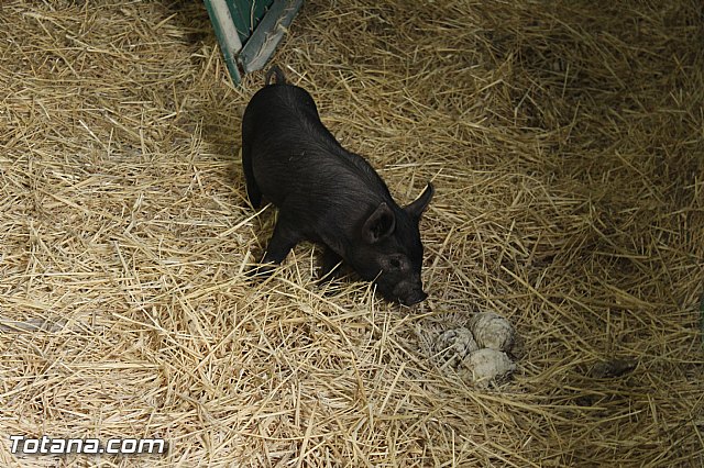 Sepor 2015 - Feria ganadera, industrial y agroalimentaria - 49