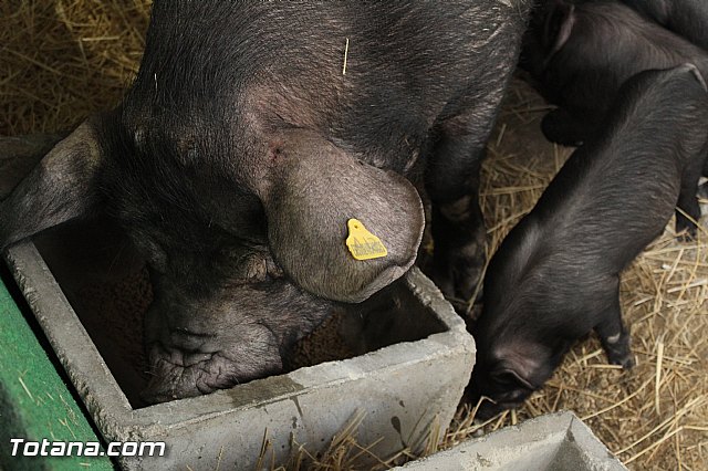 Sepor 2015 - Feria ganadera, industrial y agroalimentaria - 54