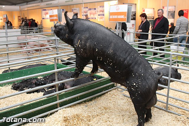 Sepor 2015 - Feria ganadera, industrial y agroalimentaria - 96