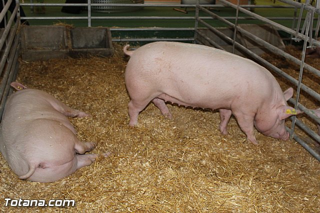 Sepor 2015 - Feria ganadera, industrial y agroalimentaria - 97