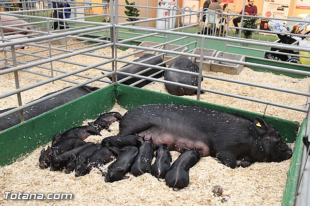 Sepor 2015 - Feria ganadera, industrial y agroalimentaria - 102