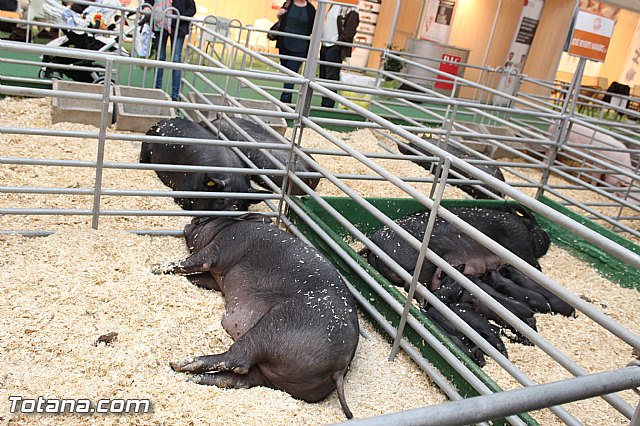 Sepor 2015 - Feria ganadera, industrial y agroalimentaria - 103