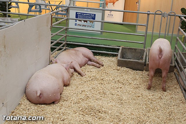 Sepor 2015 - Feria ganadera, industrial y agroalimentaria - 104