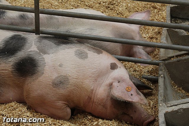 Sepor 2015 - Feria ganadera, industrial y agroalimentaria - 106