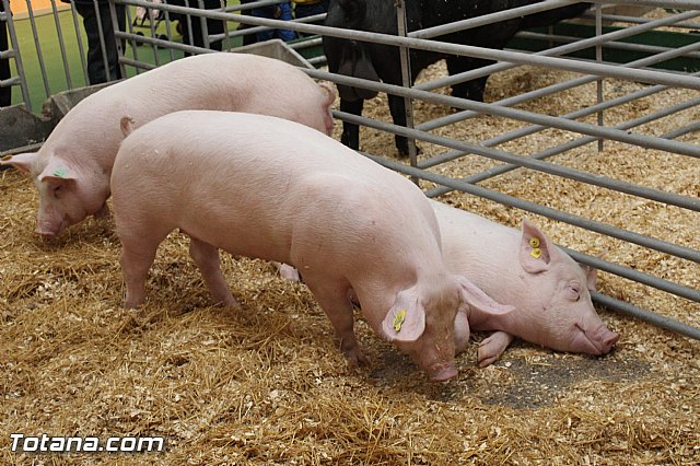 Sepor 2015 - Feria ganadera, industrial y agroalimentaria - 113