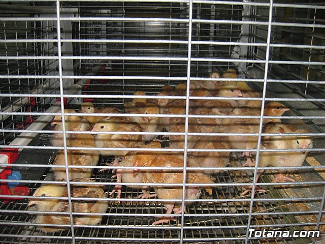 Sepor 2015 - Feria ganadera, industrial y agroalimentaria - 136