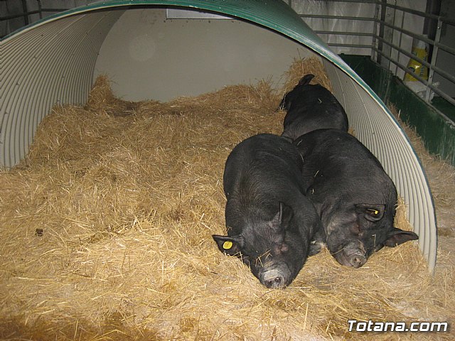 Sepor 2015 - Feria ganadera, industrial y agroalimentaria - 137