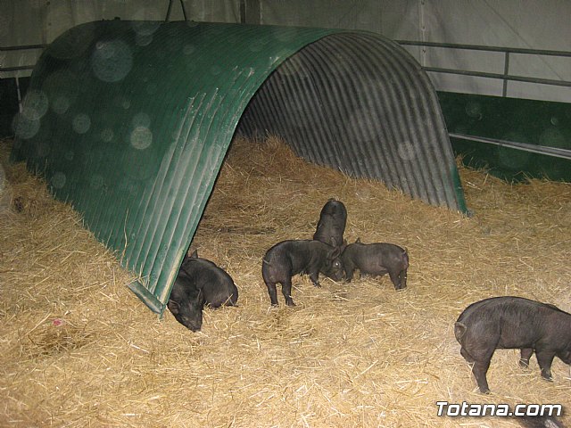 Sepor 2015 - Feria ganadera, industrial y agroalimentaria - 138