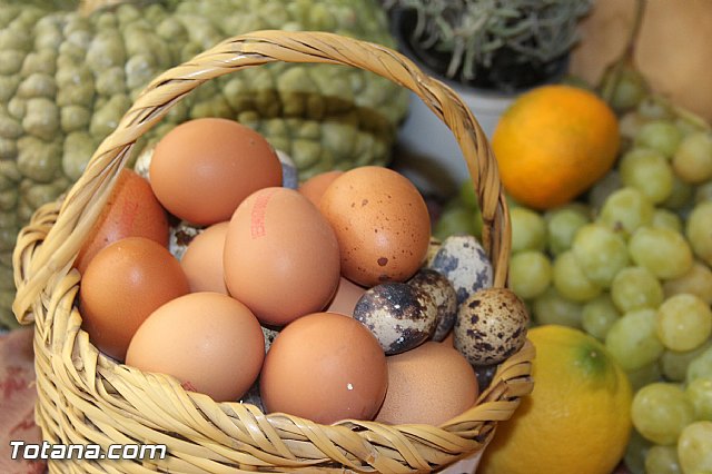 Presentacin de la marca TO - Totana ORIGEN. Calidad Agrcola y Ganadera - 58