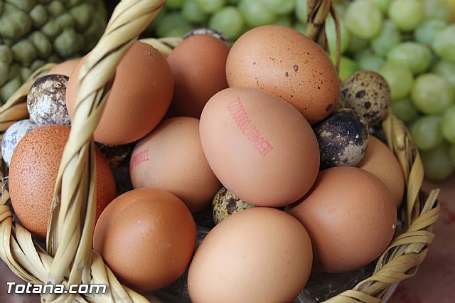 Presentacin de la marca TO - Totana ORIGEN. Calidad Agrcola y Ganadera - 78