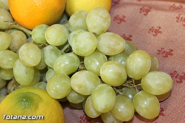 Presentacin de la marca TO - Totana ORIGEN. Calidad Agrcola y Ganadera - 79