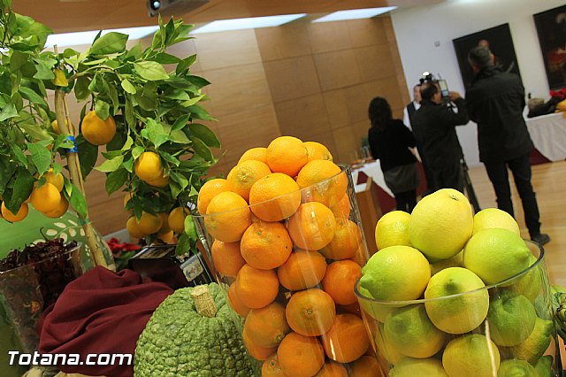 Presentacin de la marca TO - Totana ORIGEN. Calidad Agrcola y Ganadera - 90