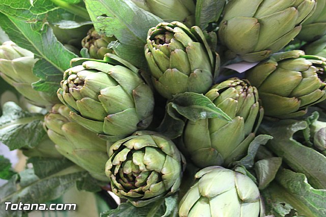 Presentacin de la marca TO - Totana ORIGEN. Calidad Agrcola y Ganadera - 97