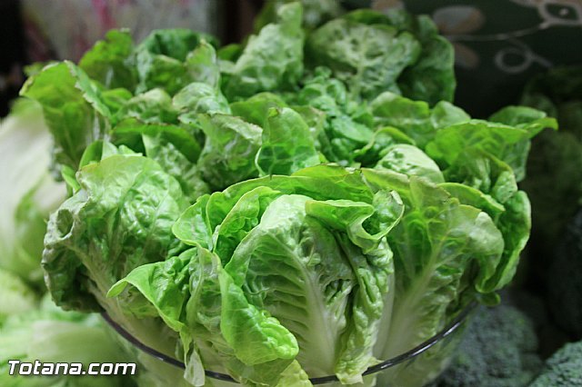 Presentacin de la marca TO - Totana ORIGEN. Calidad Agrcola y Ganadera - 98