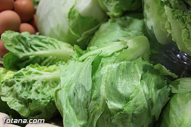 Presentacin de la marca TO - Totana ORIGEN. Calidad Agrcola y Ganadera - 99