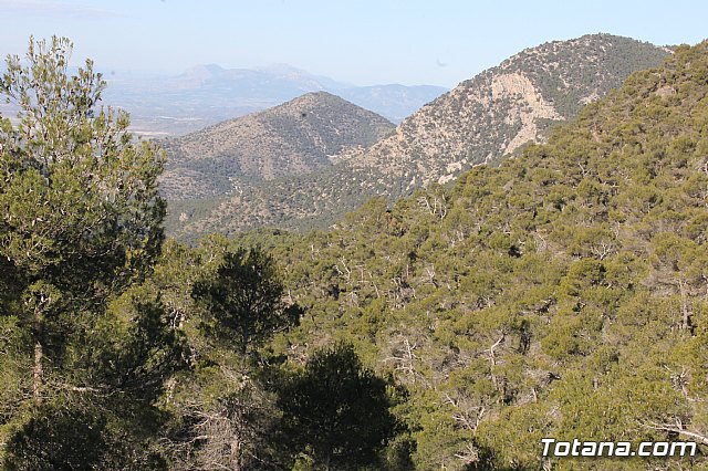 Prevencin de incendios forestales en Sierra Espua - 5