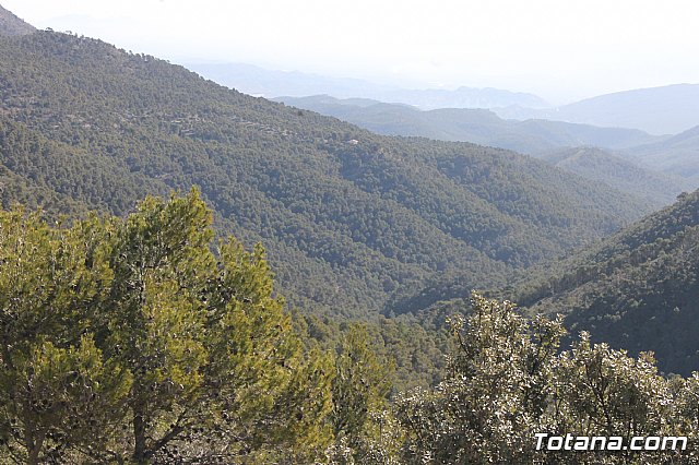 Prevencin de incendios forestales en Sierra Espua - 10