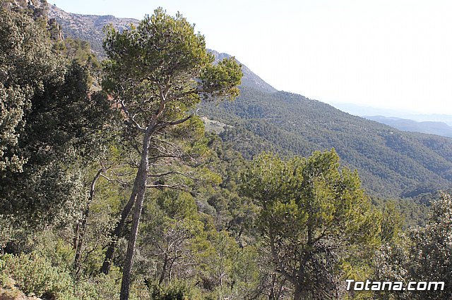 Prevencin de incendios forestales en Sierra Espua - 11
