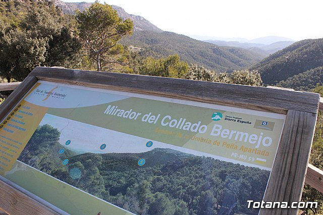 Prevencin de incendios forestales en Sierra Espua - 14