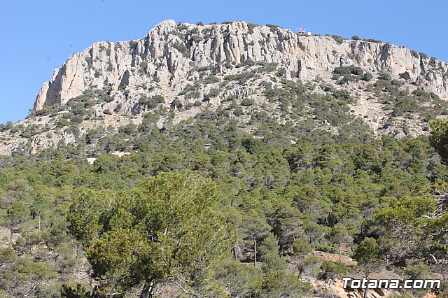 Prevencin de incendios forestales en Sierra Espua - 17