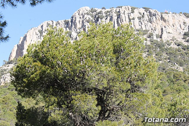 Prevencin de incendios forestales en Sierra Espua - 20