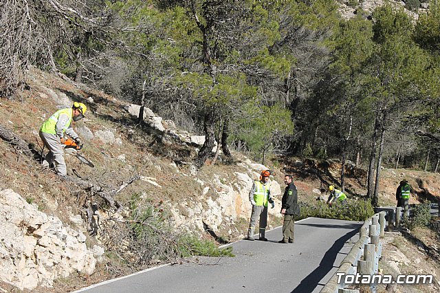 Prevencin de incendios forestales en Sierra Espua - 21