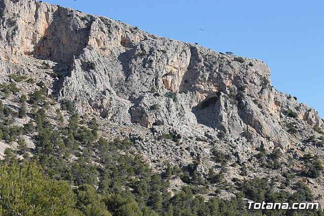 Prevencin de incendios forestales en Sierra Espua - 22