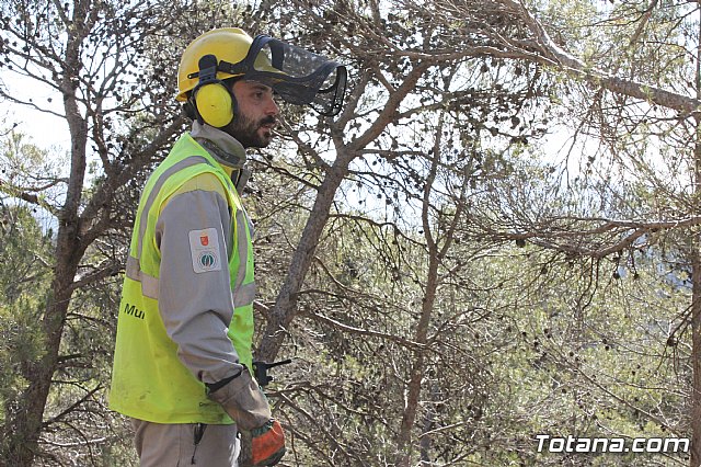 Prevencin de incendios forestales en Sierra Espua - 24