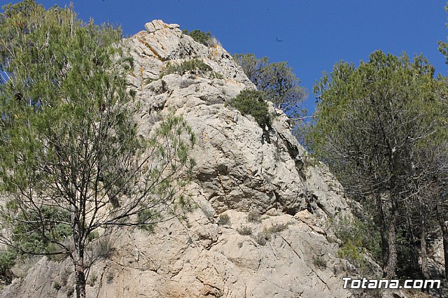 Prevencin de incendios forestales en Sierra Espua - 26