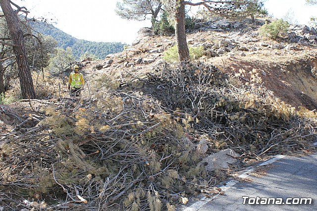 Prevencin de incendios forestales en Sierra Espua - 27