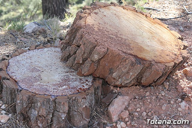Prevencin de incendios forestales en Sierra Espua - 28